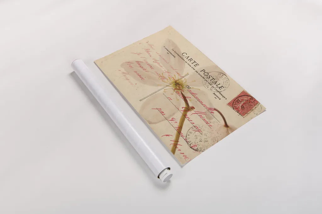 Letters to My Love II by Deborah Revell. shown as a rolled paper print. Available as archival giclee rolled canvas, fine art paper, or poster print. SKU 95480i.