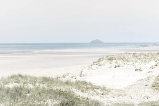 Light and Sand II by Deborah Revell. SKU 101049i. Archival Giclee Fine art print for wall decor.