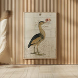 Little Bittern by Deborah Revell. shown as over sized large wall art. Available as an archival giclee rolled canvas, fine art paper, or poster print. SKU 102702h.