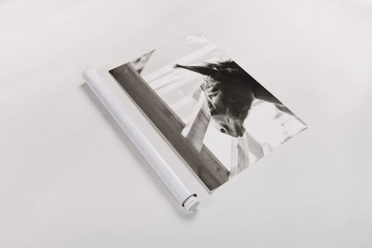 Little Donkey I by Deborah Revell. shown as a rolled paper print. Available as archival giclee rolled canvas, fine art paper, or poster print. SKU 100657h.