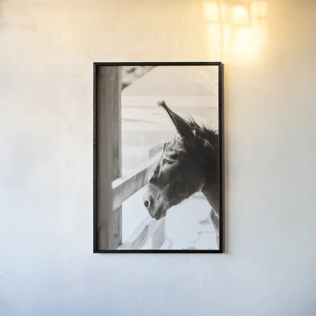Little Donkey I by Deborah Revell. shown as a paper print in a black flame. Available as a archival giclee rolled canvas, fine art paper, or poster print. SKU 100657h.