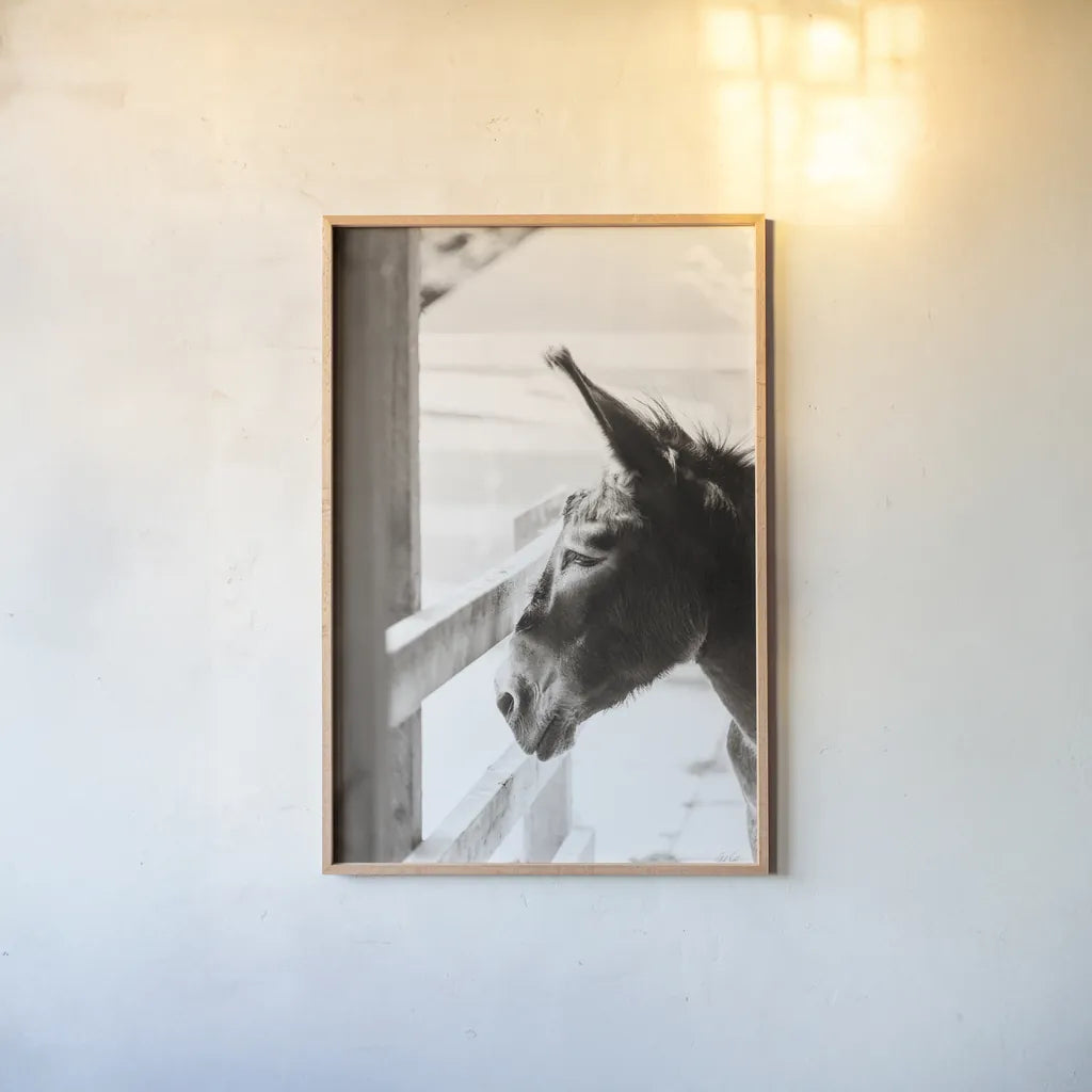 Little Donkey I by Deborah Revell. shown as a paper print in a natural frame. Available as a archival giclee rolled canvas, fine art paper, or poster print. SKU 100657h.