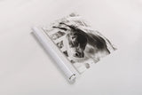 Little Donkey II by Deborah Revell. shown as a rolled paper print. Available as archival giclee rolled canvas, fine art paper, or poster print. SKU 100658h.