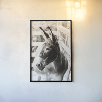 Little Donkey II by Deborah Revell. shown as a paper print in a black flame. Available as a archival giclee rolled canvas, fine art paper, or poster print. SKU 100658h.
