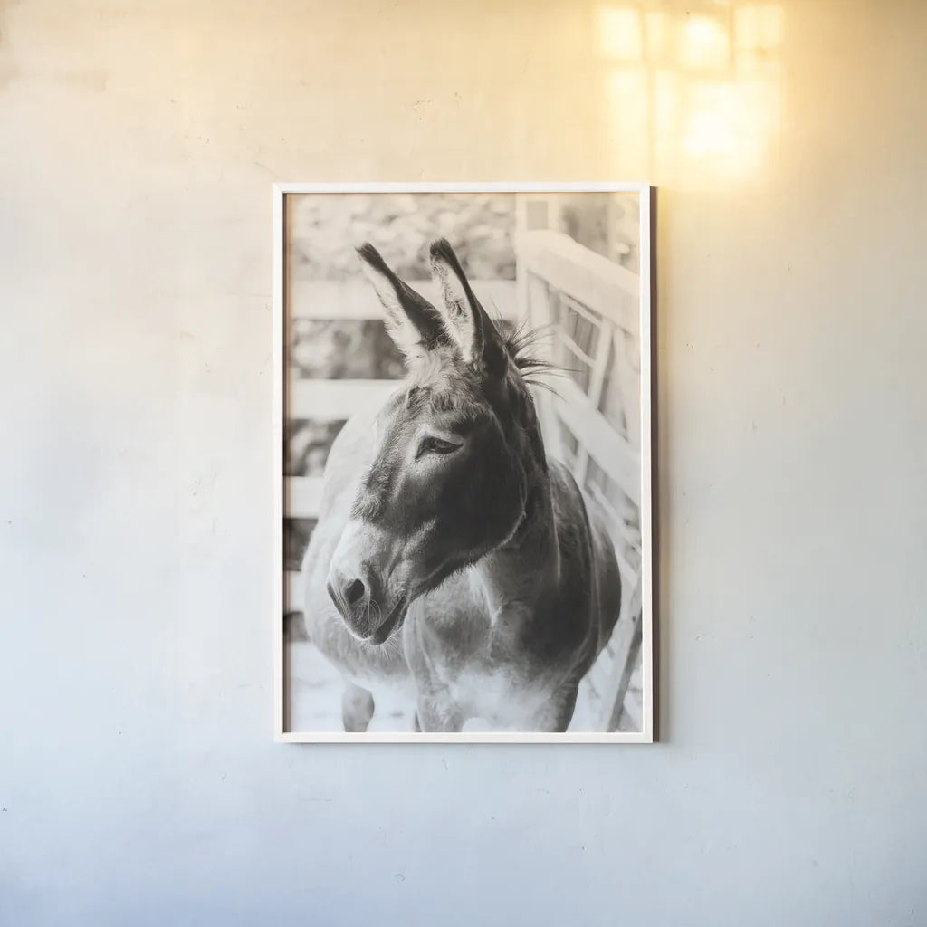Little Donkey II by Deborah Revell. shown as a paper print in a white frame. Available as a archival giclee rolled canvas, fine art paper, or poster print. SKU 100658h.
