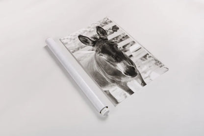 Little Donkey III by Deborah Revell. shown as a rolled paper print. Available as archival giclee rolled canvas, fine art paper, or poster print. SKU 100659h.