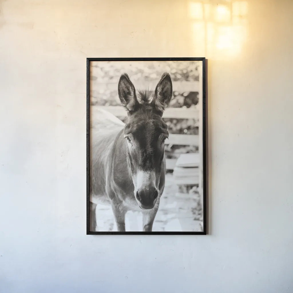 Little Donkey III by Deborah Revell. shown as a paper print in a black flame. Available as a archival giclee rolled canvas, fine art paper, or poster print. SKU 100659h.