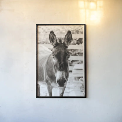 Little Donkey III by Deborah Revell. shown as a paper print in a black flame. Available as a archival giclee rolled canvas, fine art paper, or poster print. SKU 100659h.