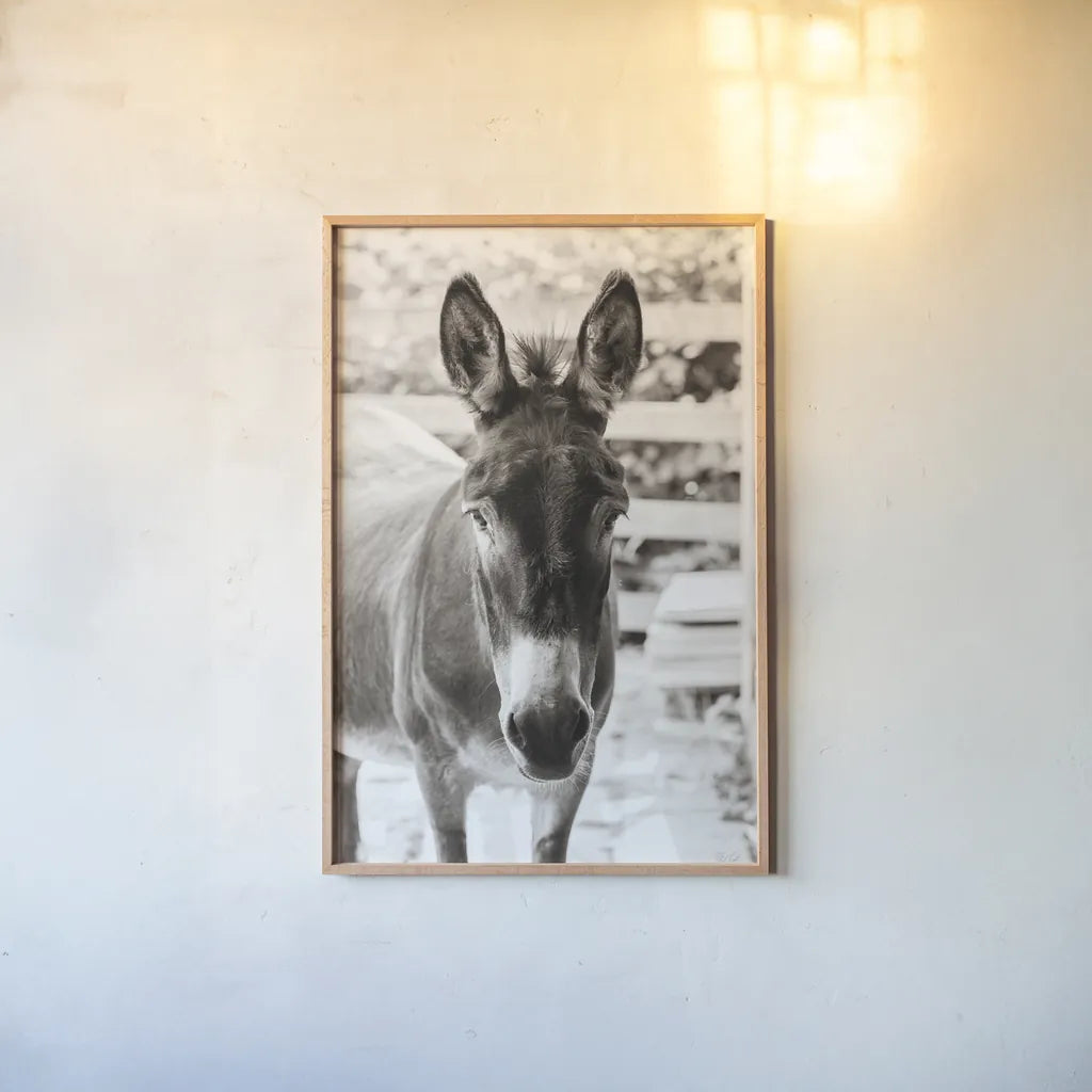 Little Donkey III by Deborah Revell. shown as a paper print in a natural frame. Available as a archival giclee rolled canvas, fine art paper, or poster print. SKU 100659h.