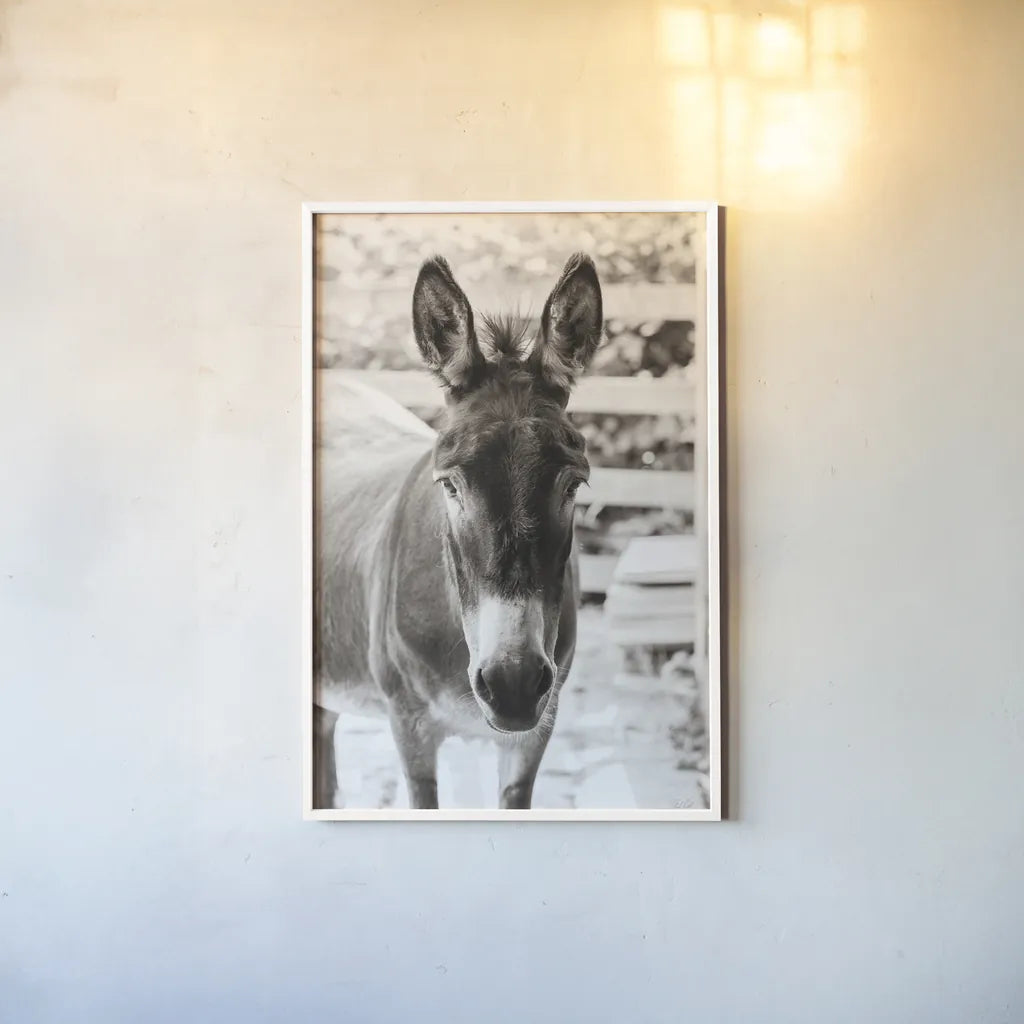 Little Donkey III by Deborah Revell. shown as a paper print in a white frame. Available as a archival giclee rolled canvas, fine art paper, or poster print. SKU 100659h.