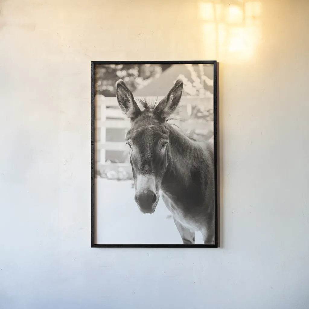 Little Donkey IV by Deborah Revell. shown as a paper print in a black flame. Available as a archival giclee rolled canvas, fine art paper, or poster print. SKU 100660h.