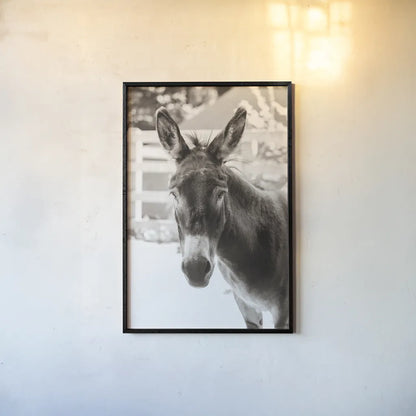Little Donkey IV by Deborah Revell. shown as a paper print in a black flame. Available as a archival giclee rolled canvas, fine art paper, or poster print. SKU 100660h.