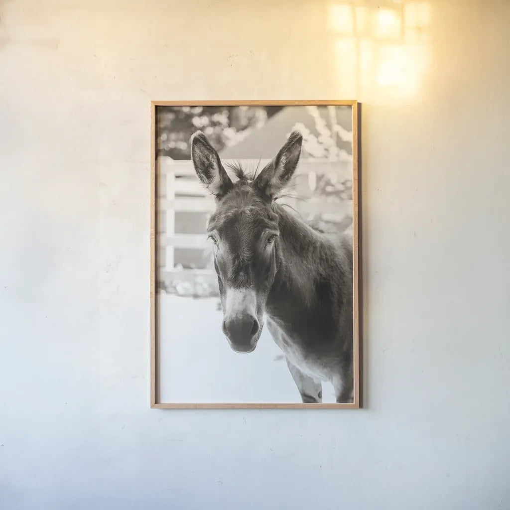 Little Donkey IV by Deborah Revell. shown as a paper print in a natural frame. Available as a archival giclee rolled canvas, fine art paper, or poster print. SKU 100660h.
