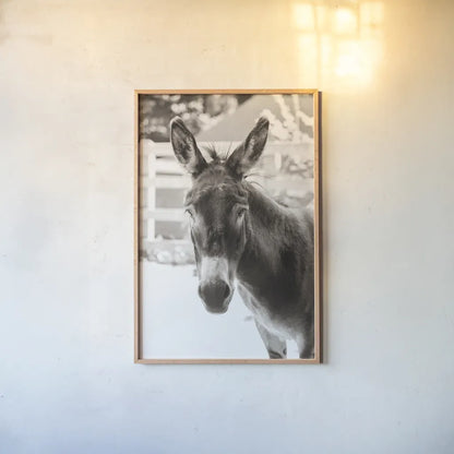 Little Donkey IV by Deborah Revell. shown as a paper print in a natural frame. Available as a archival giclee rolled canvas, fine art paper, or poster print. SKU 100660h.