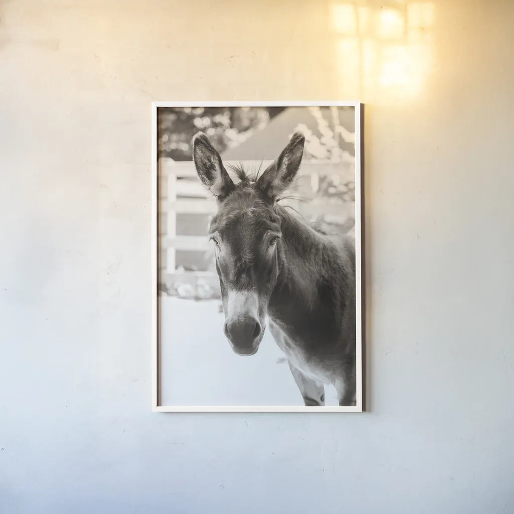 Little Donkey IV by Deborah Revell. shown as a paper print in a white frame. Available as a archival giclee rolled canvas, fine art paper, or poster print. SKU 100660h.