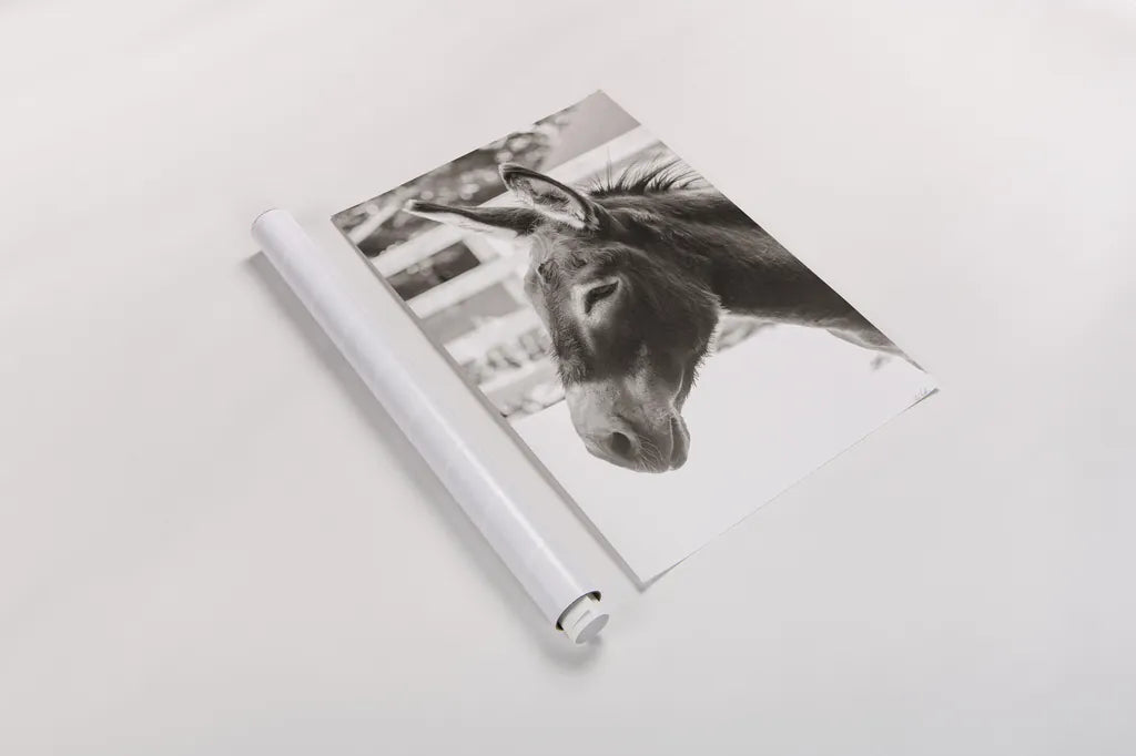 Little Donkey V by Deborah Revell. shown as a rolled paper print. Available as archival giclee rolled canvas, fine art paper, or poster print. SKU 100661h.