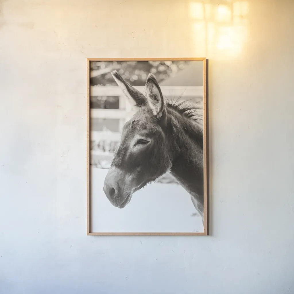 Little Donkey V by Deborah Revell. shown as a paper print in a natural frame. Available as a archival giclee rolled canvas, fine art paper, or poster print. SKU 100661h.