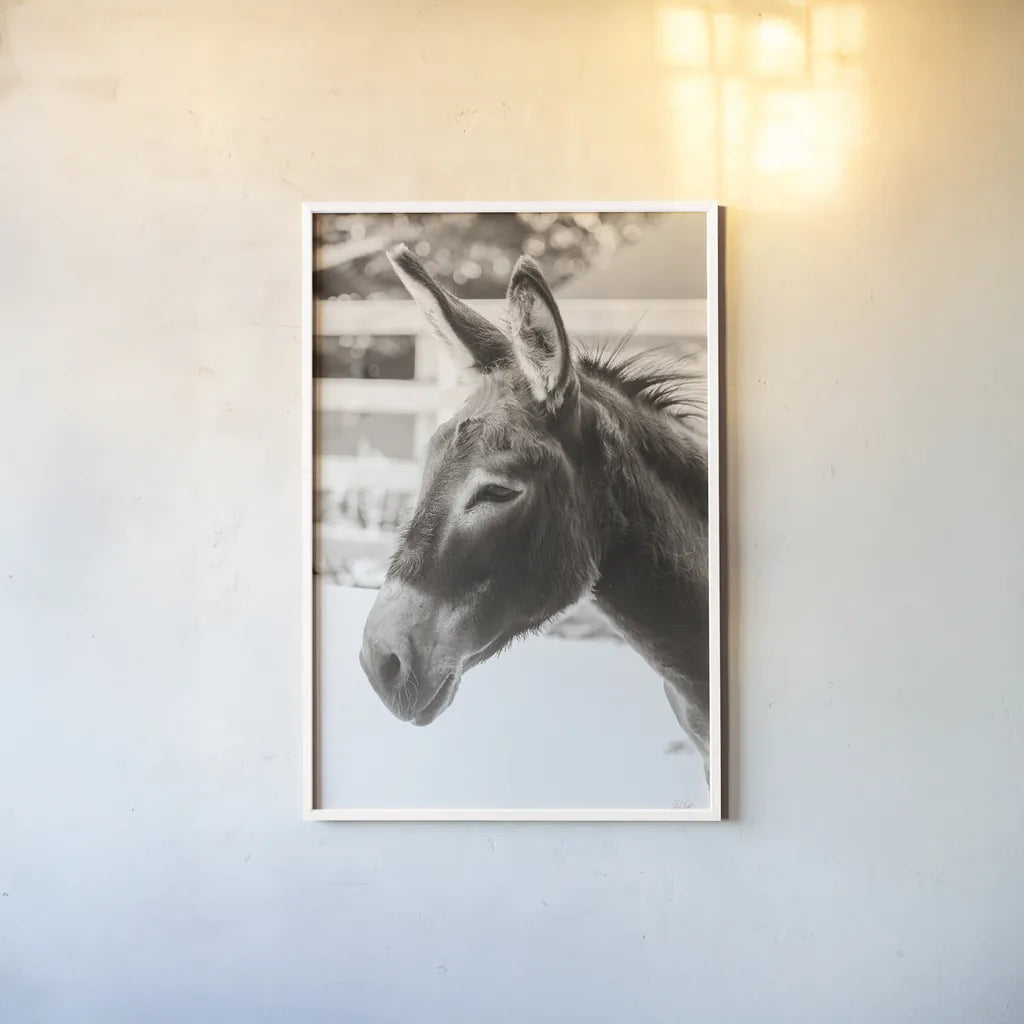 Little Donkey V by Deborah Revell. shown as a paper print in a white frame. Available as a archival giclee rolled canvas, fine art paper, or poster print. SKU 100661h.