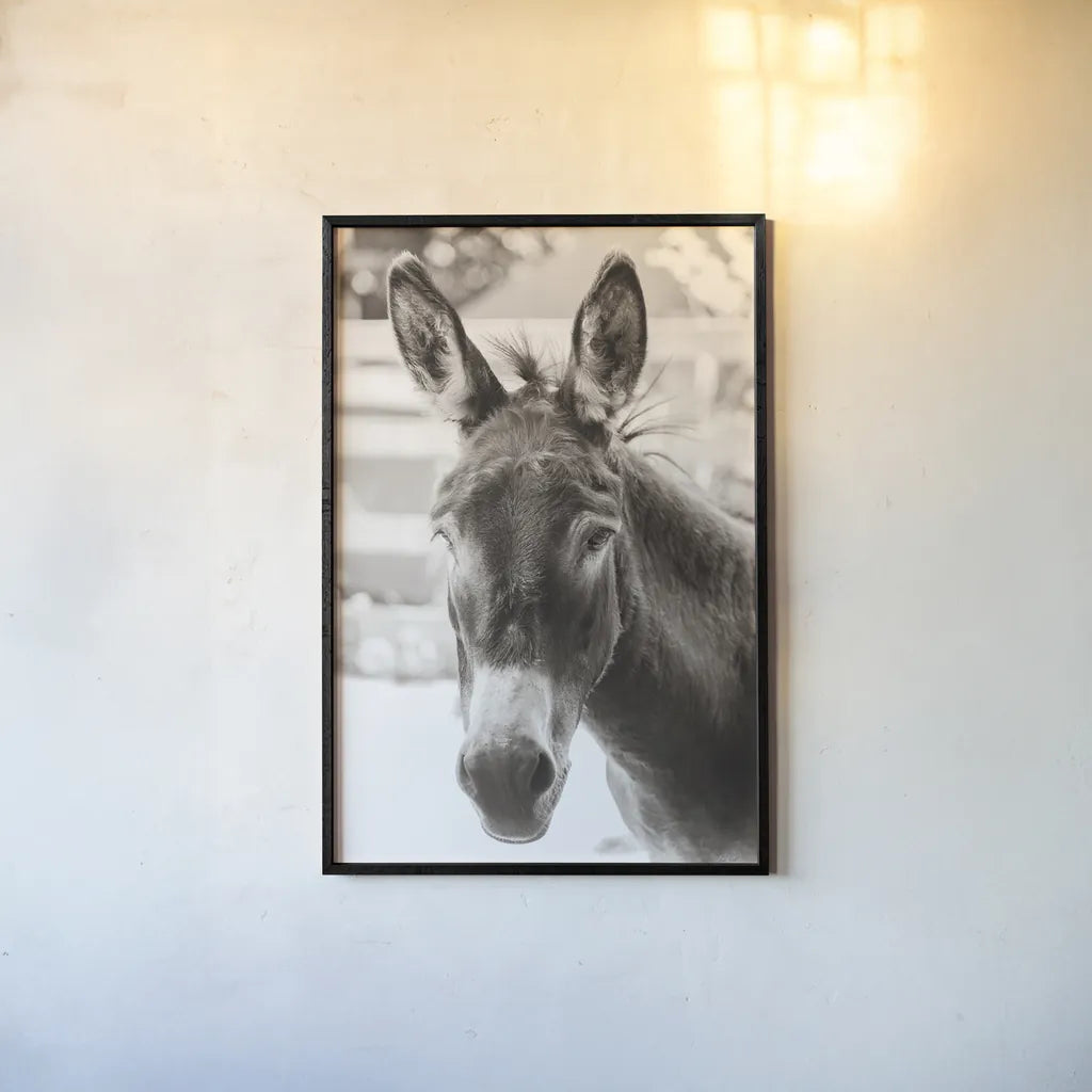 Little Donkey VI by Deborah Revell. shown as a paper print in a black flame. Available as a archival giclee rolled canvas, fine art paper, or poster print. SKU 100662h.