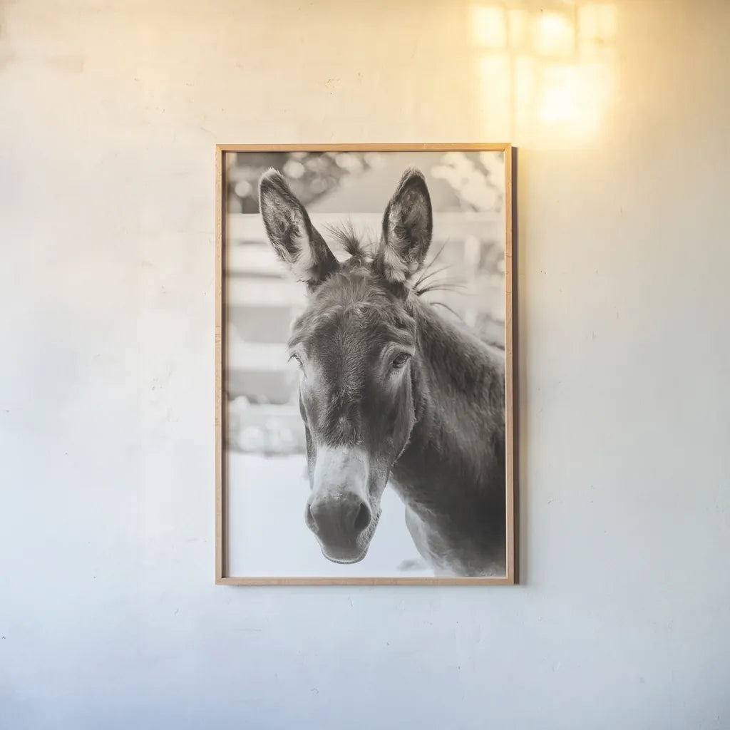 Little Donkey VI by Deborah Revell. shown as a paper print in a natural frame. Available as a archival giclee rolled canvas, fine art paper, or poster print. SKU 100662h.