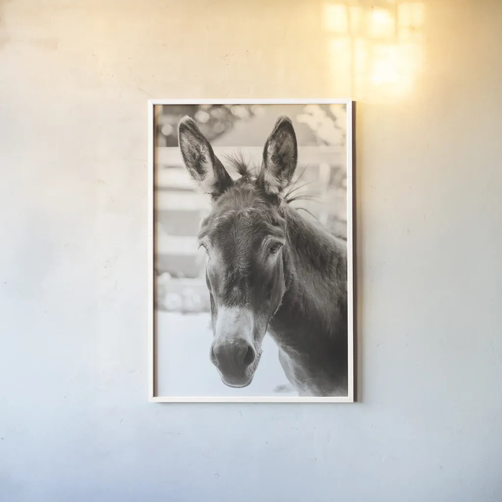 Little Donkey VI by Deborah Revell. shown as a paper print in a white frame. Available as a archival giclee rolled canvas, fine art paper, or poster print. SKU 100662h.