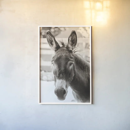 Little Donkey VI by Deborah Revell. shown as a paper print in a white frame. Available as a archival giclee rolled canvas, fine art paper, or poster print. SKU 100662h.