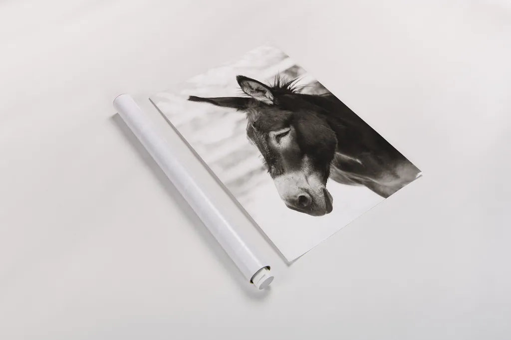 Little Donkey VII by Deborah Revell. shown as a rolled paper print. Available as archival giclee rolled canvas, fine art paper, or poster print. SKU 100663h.