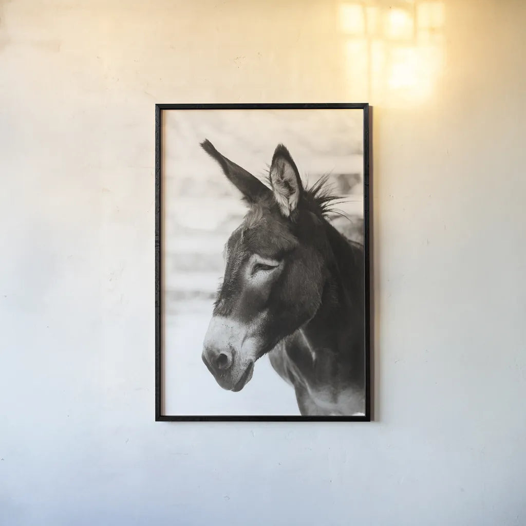 Little Donkey VII by Deborah Revell. shown as a paper print in a black flame. Available as a archival giclee rolled canvas, fine art paper, or poster print. SKU 100663h.
