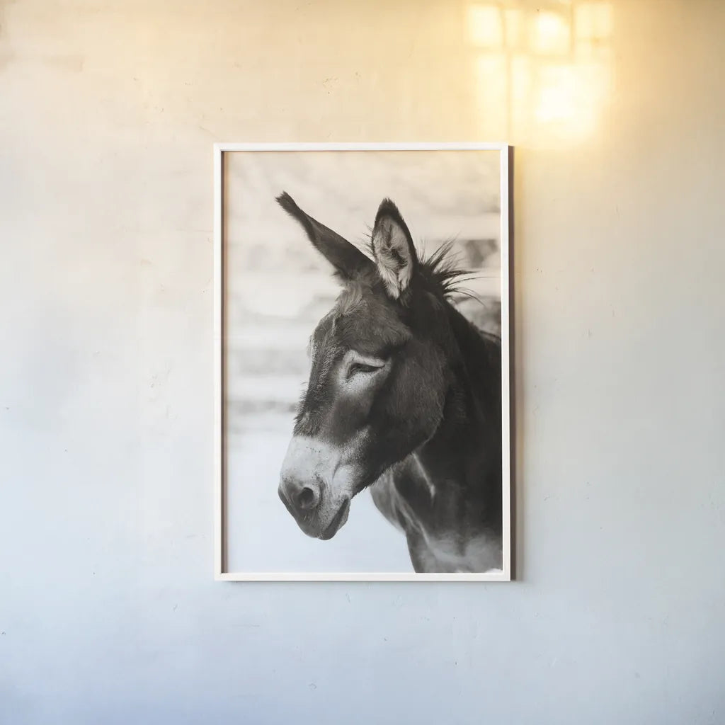 Little Donkey VII by Deborah Revell. shown as a paper print in a white frame. Available as a archival giclee rolled canvas, fine art paper, or poster print. SKU 100663h.