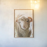 Little Lamb by Deborah Revell. shown as a paper print in a natural frame. Available as a archival giclee rolled canvas, fine art paper, or poster print. SKU 96305h.