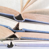 Livres Bleu by Deborah Revell. SKU 96919a. Archival Giclee Fine art print for wall decor.