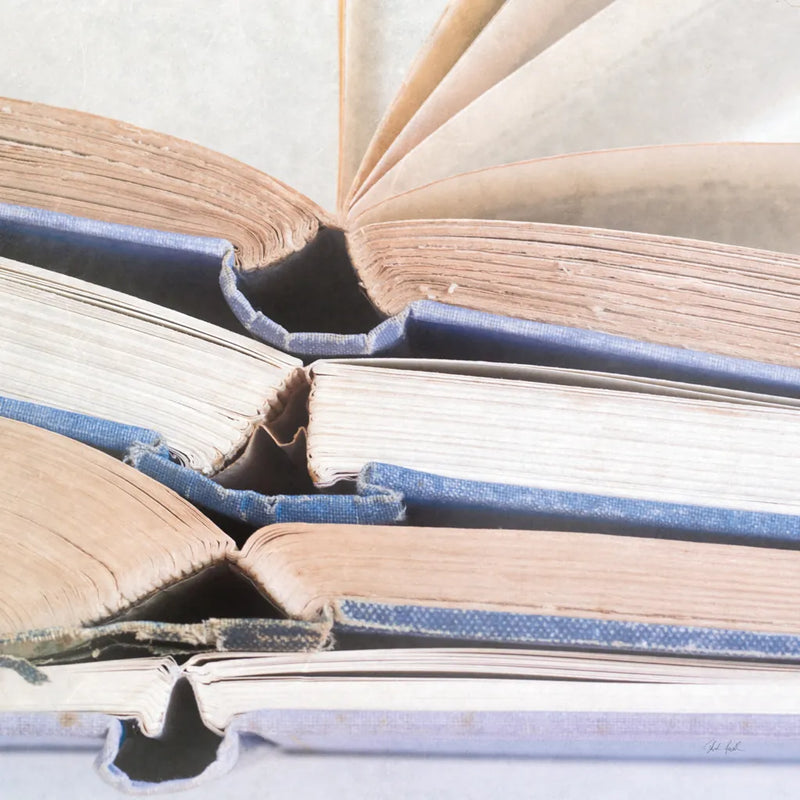 Livres Bleu by Deborah Revell. SKU 96919a. Archival Giclee Fine art print for wall decor.
