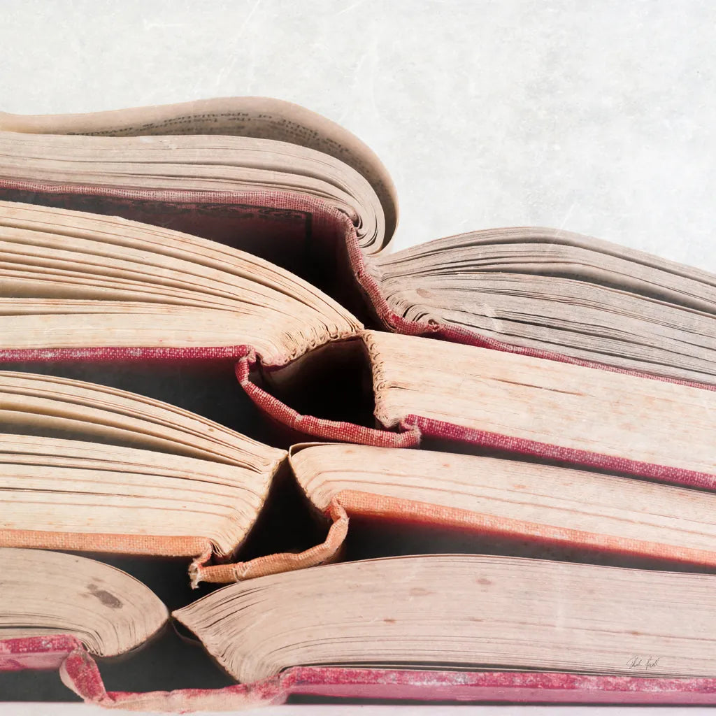 Livres Rouge by Deborah Revell. SKU 96920a. Archival Giclee Fine art print for wall decor.