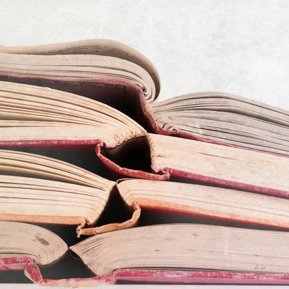 Livres Rouge by Deborah Revell. SKU 96920a. Archival Giclee Fine art print for wall decor.