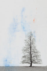 Lone Tree by Deborah Revell. SKU 90975h. Archival Giclee Fine art print for wall decor.