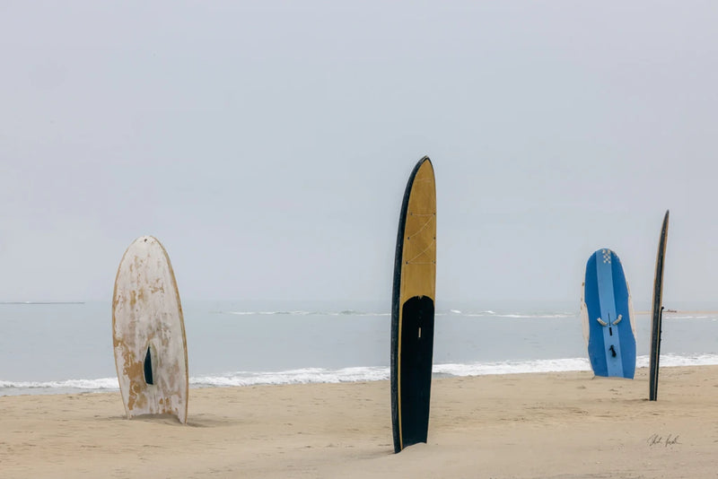 Long Boards III by Deborah Revell