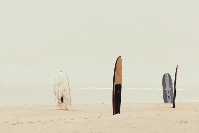 Long Boards IV by Deborah Revell