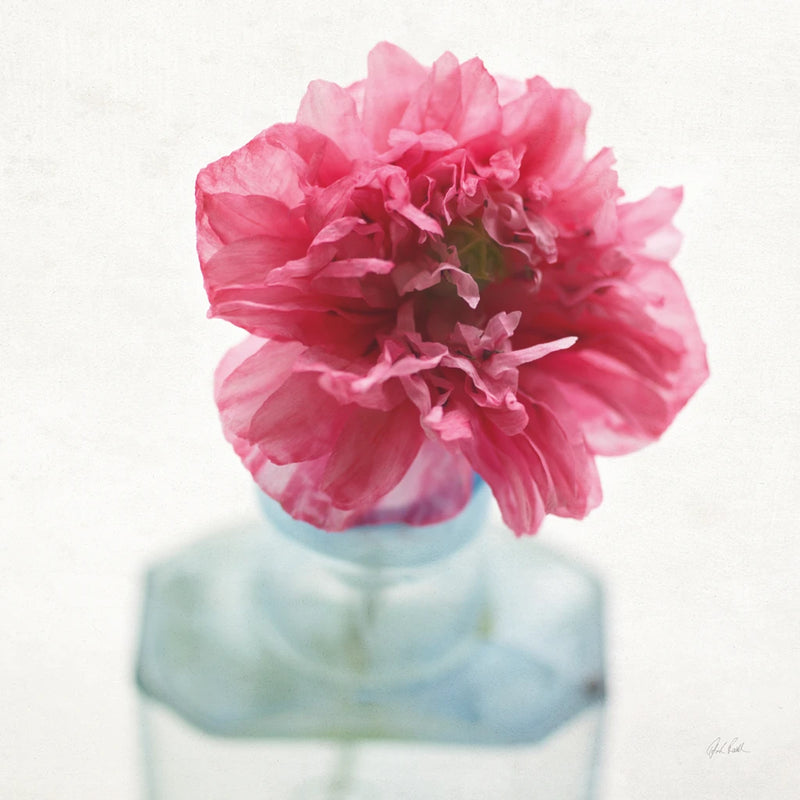 Love by Deborah Revell