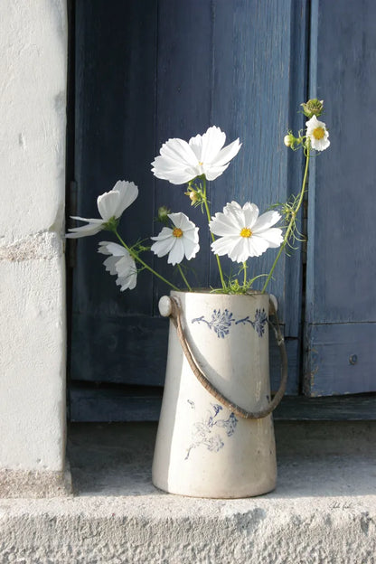 Madame Sards Jug by Deborah Revell. SKU 96631h. Archival Giclee Fine art print for wall decor.