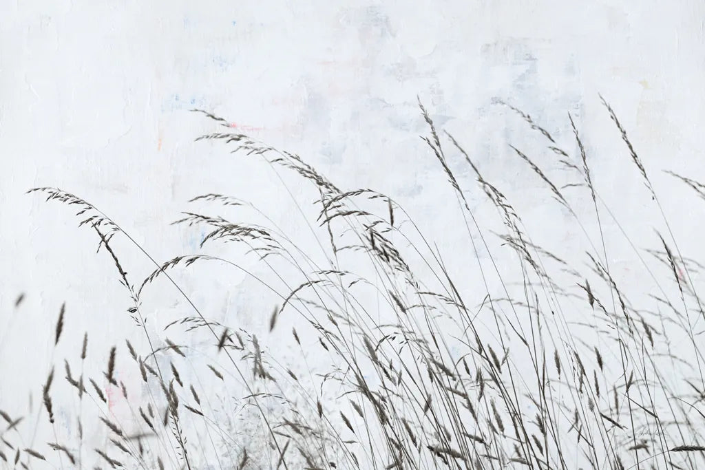 Meadow Grass I by Deborah Revell. SKU 93436i. Archival Giclee Fine art print for wall decor.