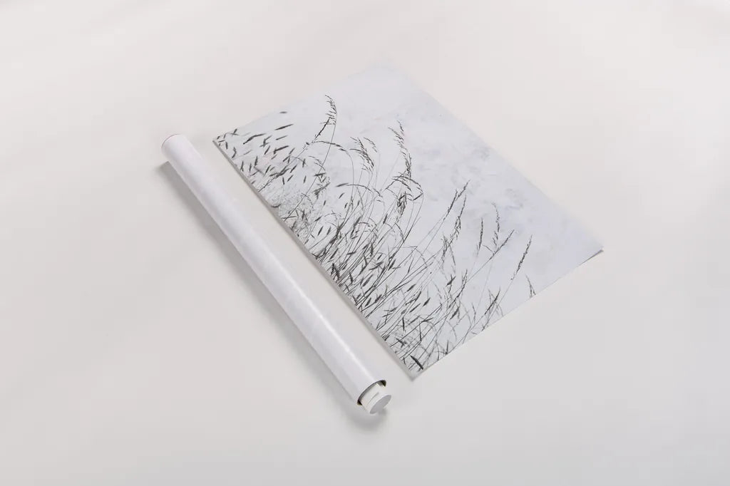 Meadow Grass I by Deborah Revell. shown as a rolled paper print. Available as archival giclee rolled canvas, fine art paper, or poster print. SKU 93436i.