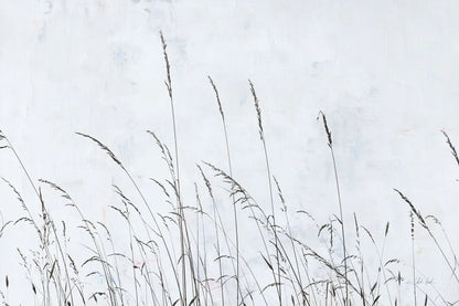 Meadow Grass II by Deborah Revell. SKU 93437i. Archival Giclee Fine art print for wall decor.