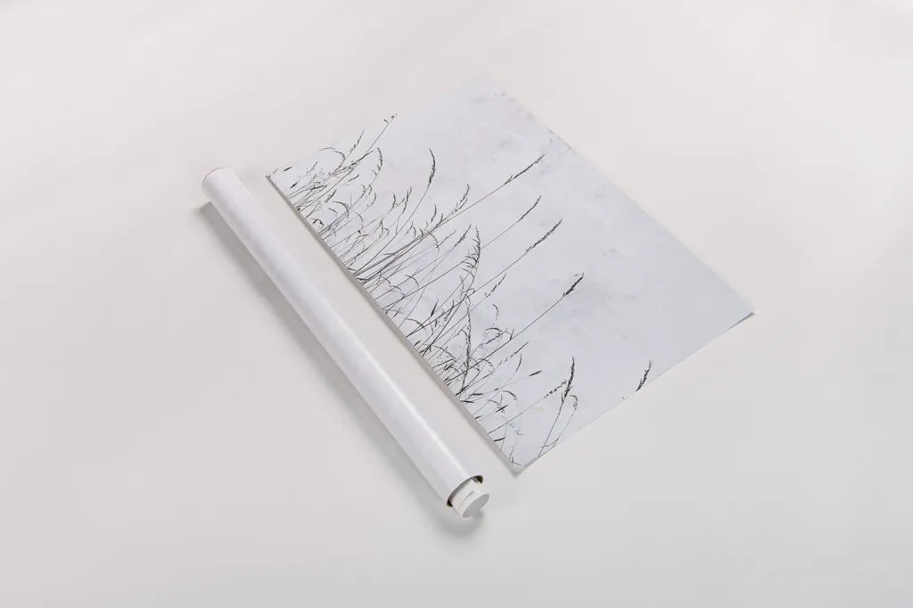 Meadow Grass II by Deborah Revell. shown as a rolled paper print. Available as archival giclee rolled canvas, fine art paper, or poster print. SKU 93437i.