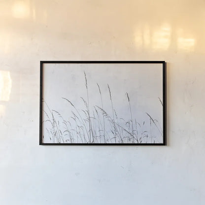 Meadow Grass II by Deborah Revell. shown as a paper print in a black flame. Available as a archival giclee rolled canvas, fine art paper, or poster print. SKU 93437i.