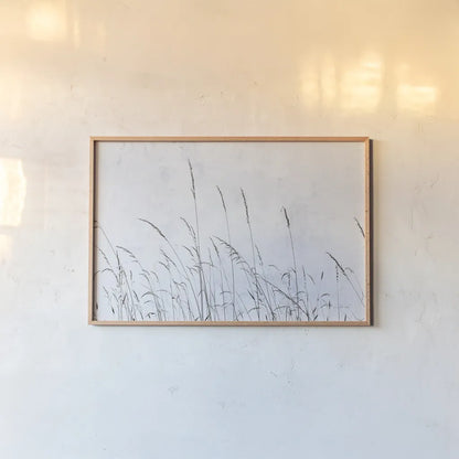 Meadow Grass II by Deborah Revell. shown as a paper print in a natural frame. Available as a archival giclee rolled canvas, fine art paper, or poster print. SKU 93437i.