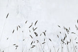 Meadow Grass III by Deborah Revell. SKU 93438i. Archival Giclee Fine art print for wall decor.