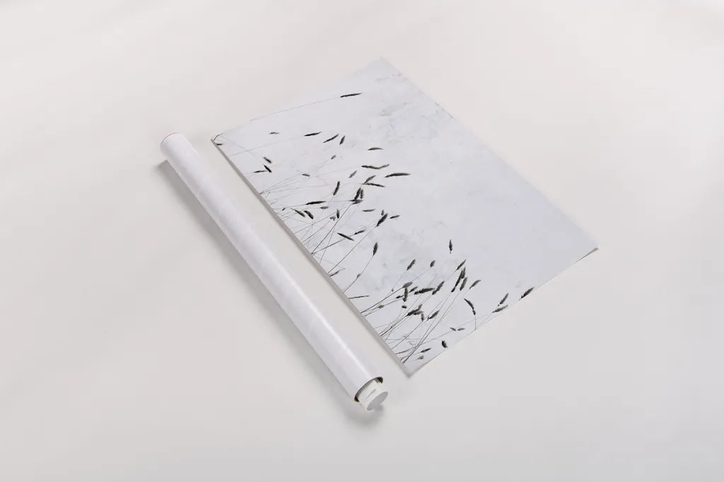 Meadow Grass III by Deborah Revell. shown as a rolled paper print. Available as archival giclee rolled canvas, fine art paper, or poster print. SKU 93438i.