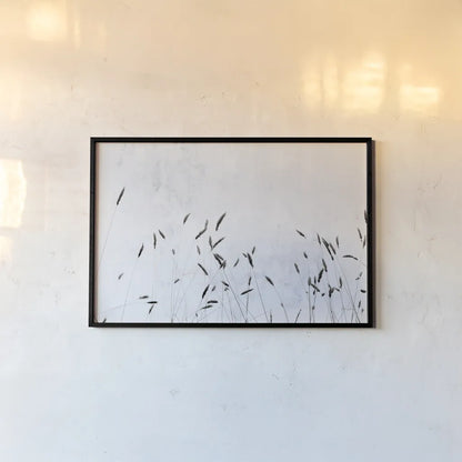 Meadow Grass III by Deborah Revell. shown as a paper print in a black flame. Available as a archival giclee rolled canvas, fine art paper, or poster print. SKU 93438i.