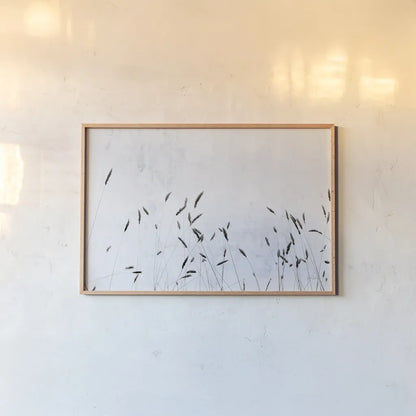 Meadow Grass III by Deborah Revell. shown as a paper print in a natural frame. Available as a archival giclee rolled canvas, fine art paper, or poster print. SKU 93438i.