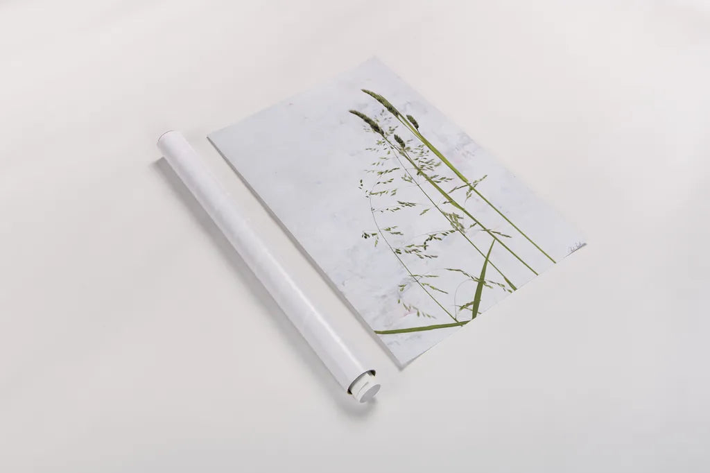 Meadow Greenery by Deborah Revell. shown as a rolled paper print. Available as archival giclee rolled canvas, fine art paper, or poster print. SKU 93430h.